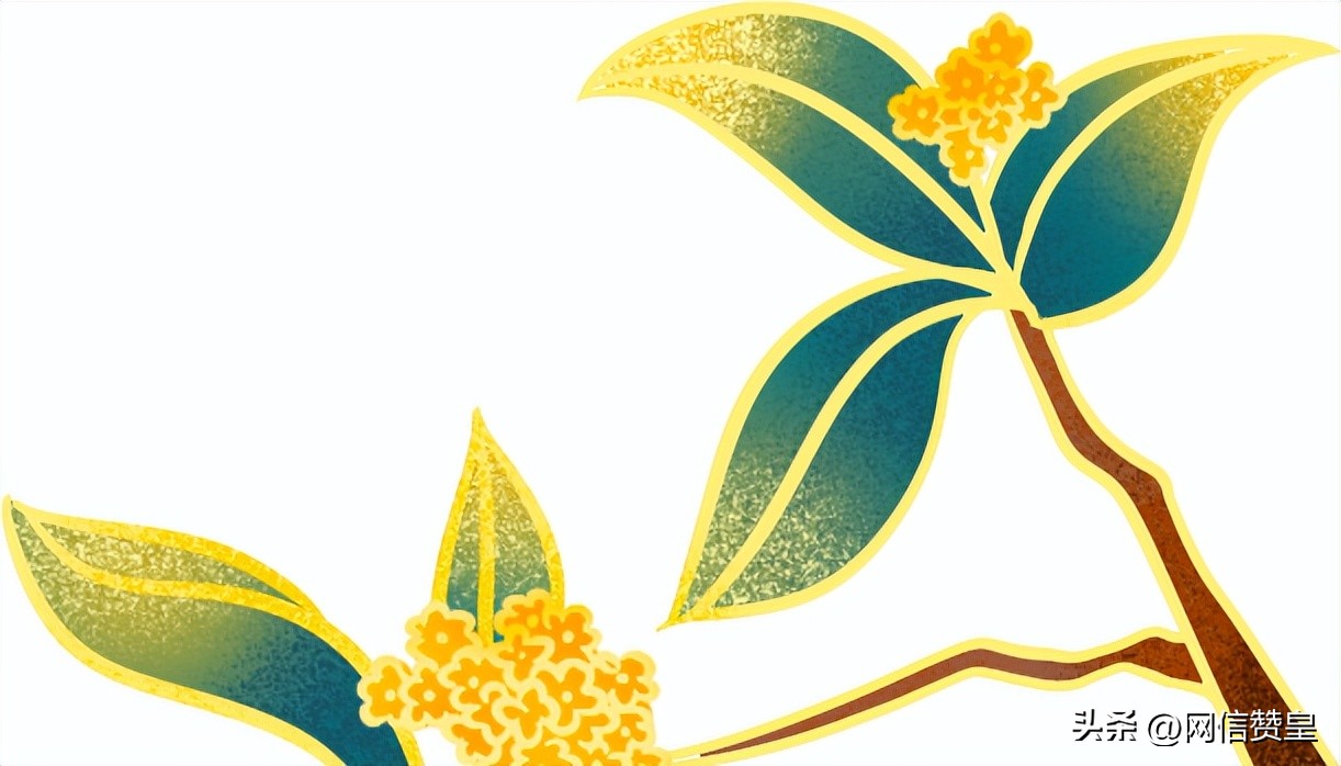 网络中国节中秋团圆,网络中国节中秋人间至味团圆