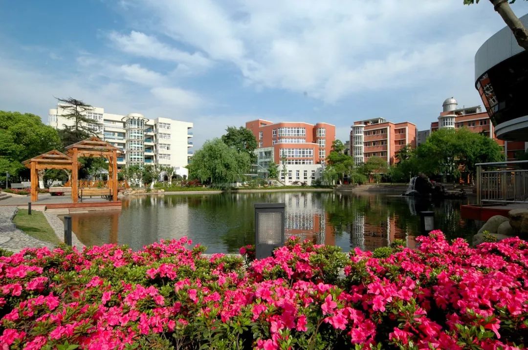 南京鼓楼教育强在哪里,南京鼓楼区教育怎么样