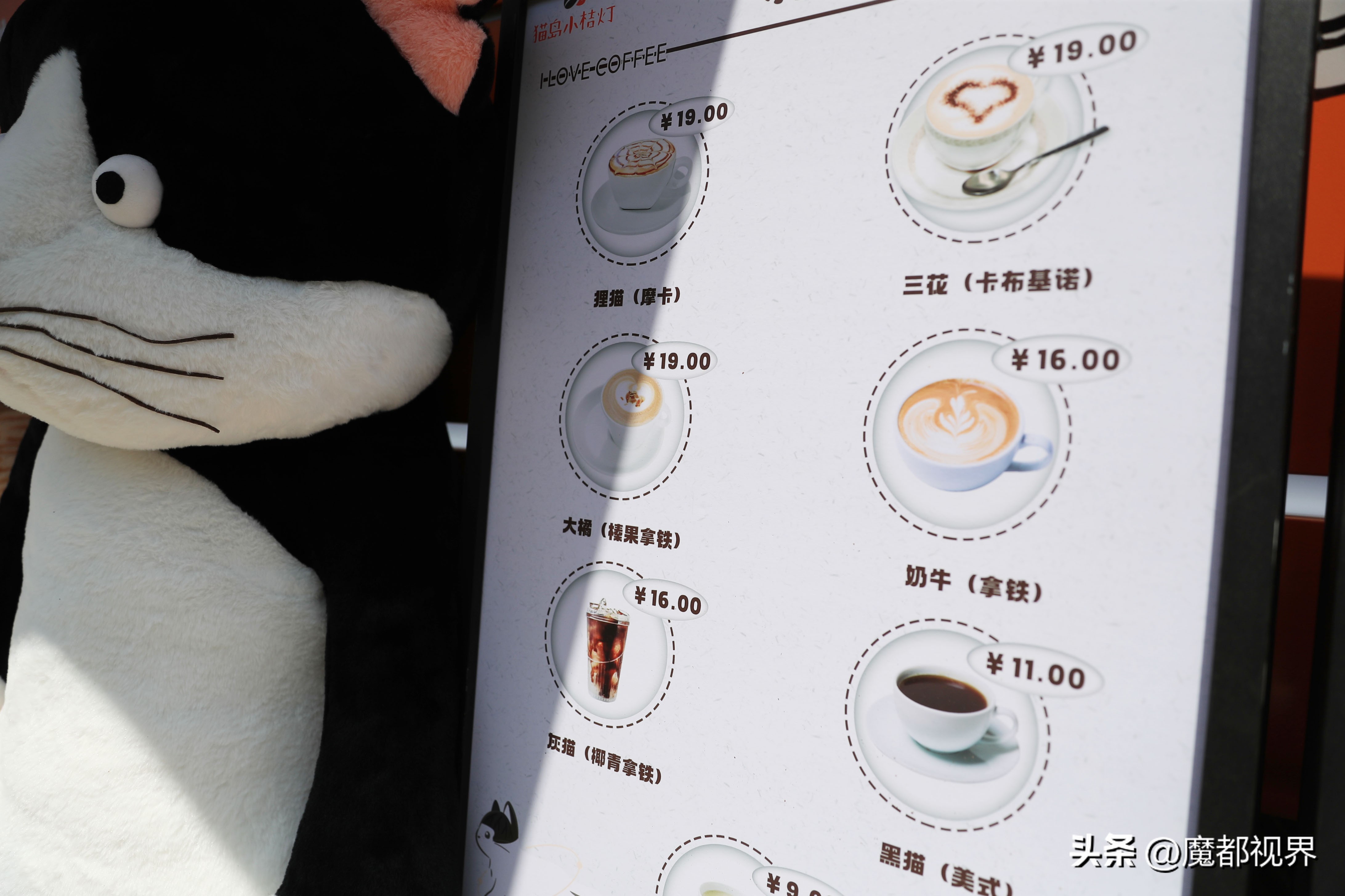 上海市文明养宠嘉年华,上海首届文明养宠嘉年华