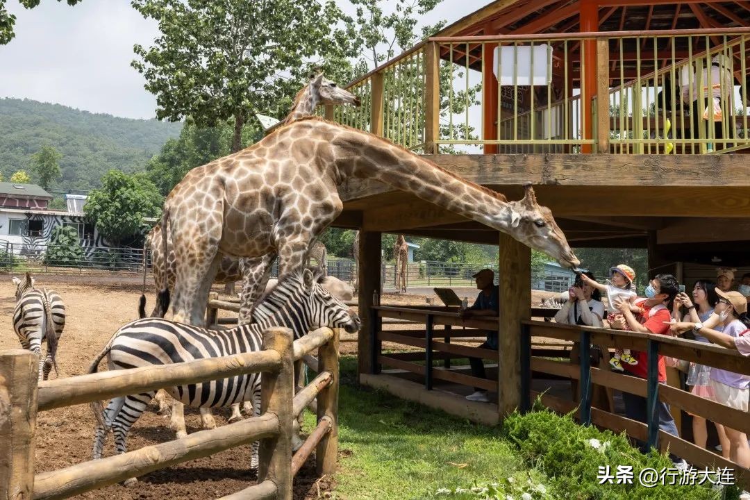 十一嗨玩计划,大连十一去哪儿玩推荐