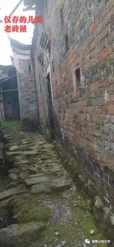 当年参加生产队劳动叫出工