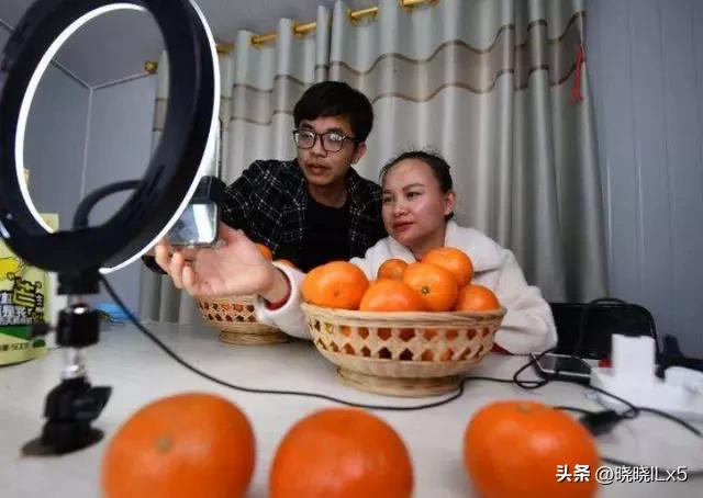 果农如何才能赚钱,果农的年收入