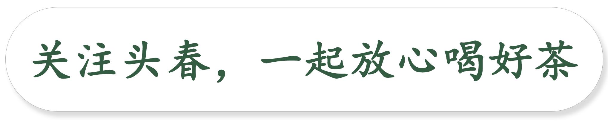 白茶的鲜爽究竟藏在哪里,白茶的迷人魅力是什么样的