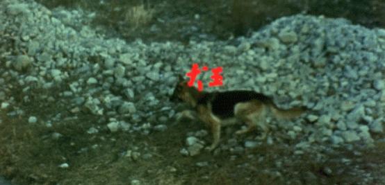 影视圈中令人胆颤的假戏真做，究竟是真的敬业，还是在借戏霸凌？