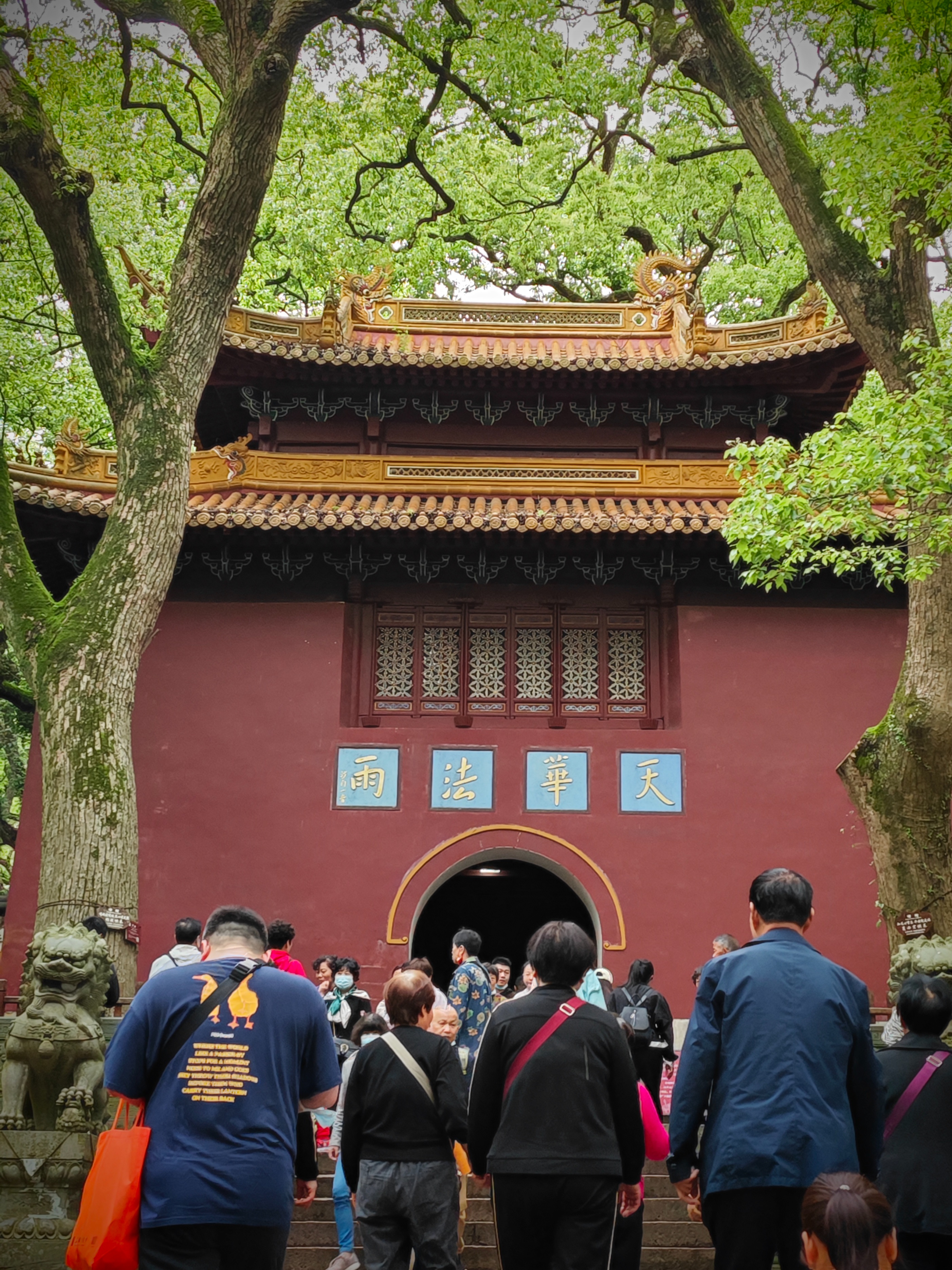 第三年到普陀山祈福之旅圆满,普陀山祈福二日杭州出发跟团游