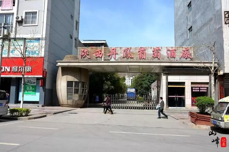 陕西丹凤葡萄酒品牌概念,陕西丹凤葡萄酒厂西安销售点