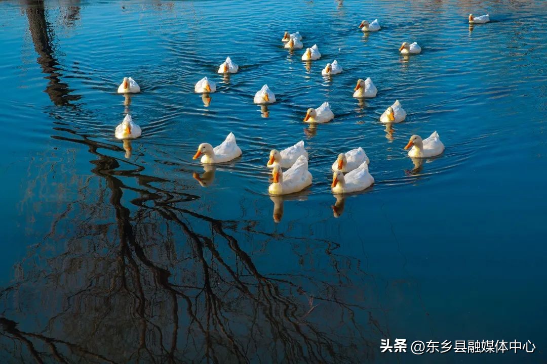 关于春天的诗词和优美句子,最美有关春天的诗词