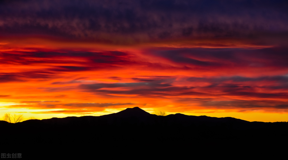 艾草的起源历史典故,艾草的前世今生你知道吗
