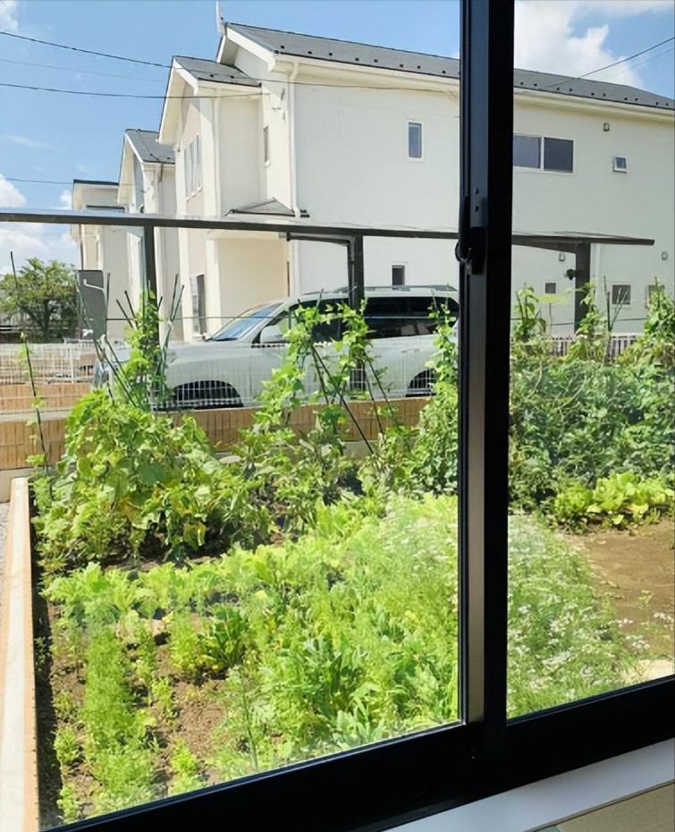 移民的生活好不好,移民生活到底好不好