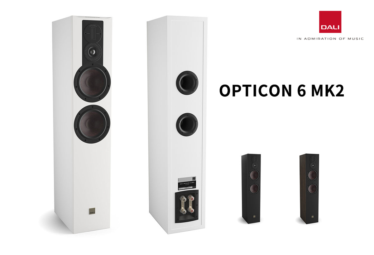 达尼进口系列,达尼家庭影院欧典系列6号评测