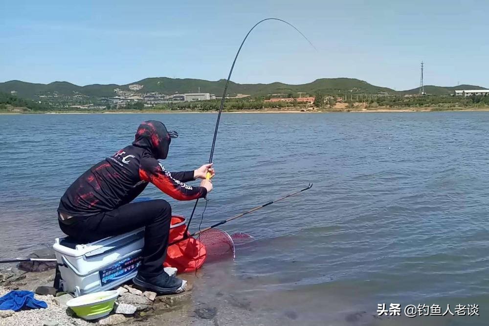 怎样选鱼竿野钓选什么鱼竿,钓鱼竿入门竿怎么选择最好