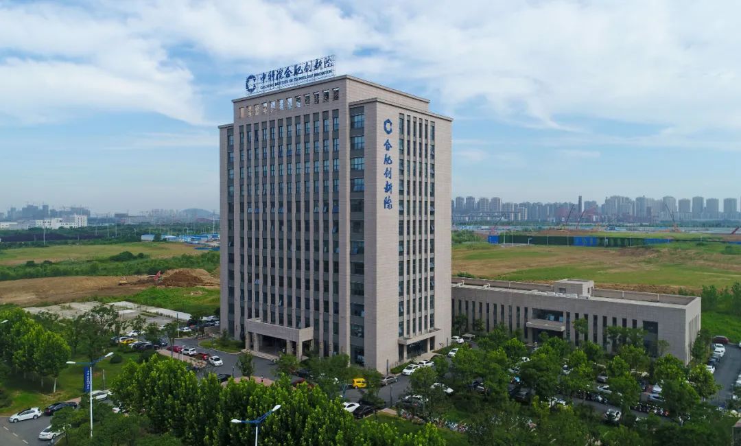 看！这些“种子”在合肥茁壮成长