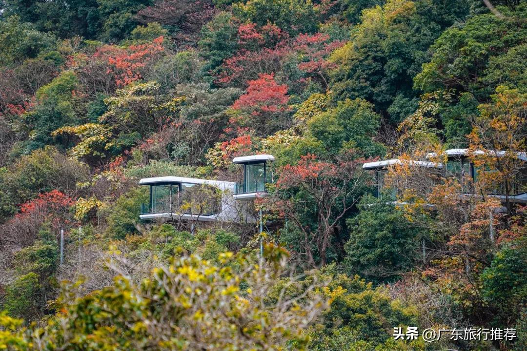 广东小众度假村2天1夜,广州客天下溯溪