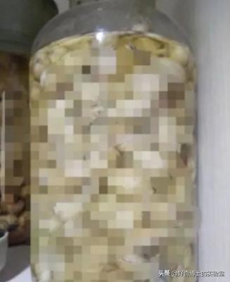 为什么动物要做绝育手术,动物绝育是取子宫吗