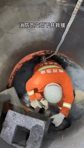 狗狗掉入冰冷水中急待救援,狗狗掉深井里面救它出来