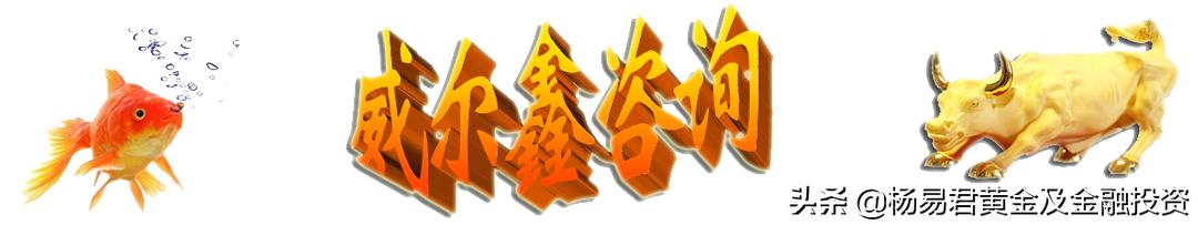 威尔鑫黄金杨易君分析师,黄金追涨杀跌的58个技巧