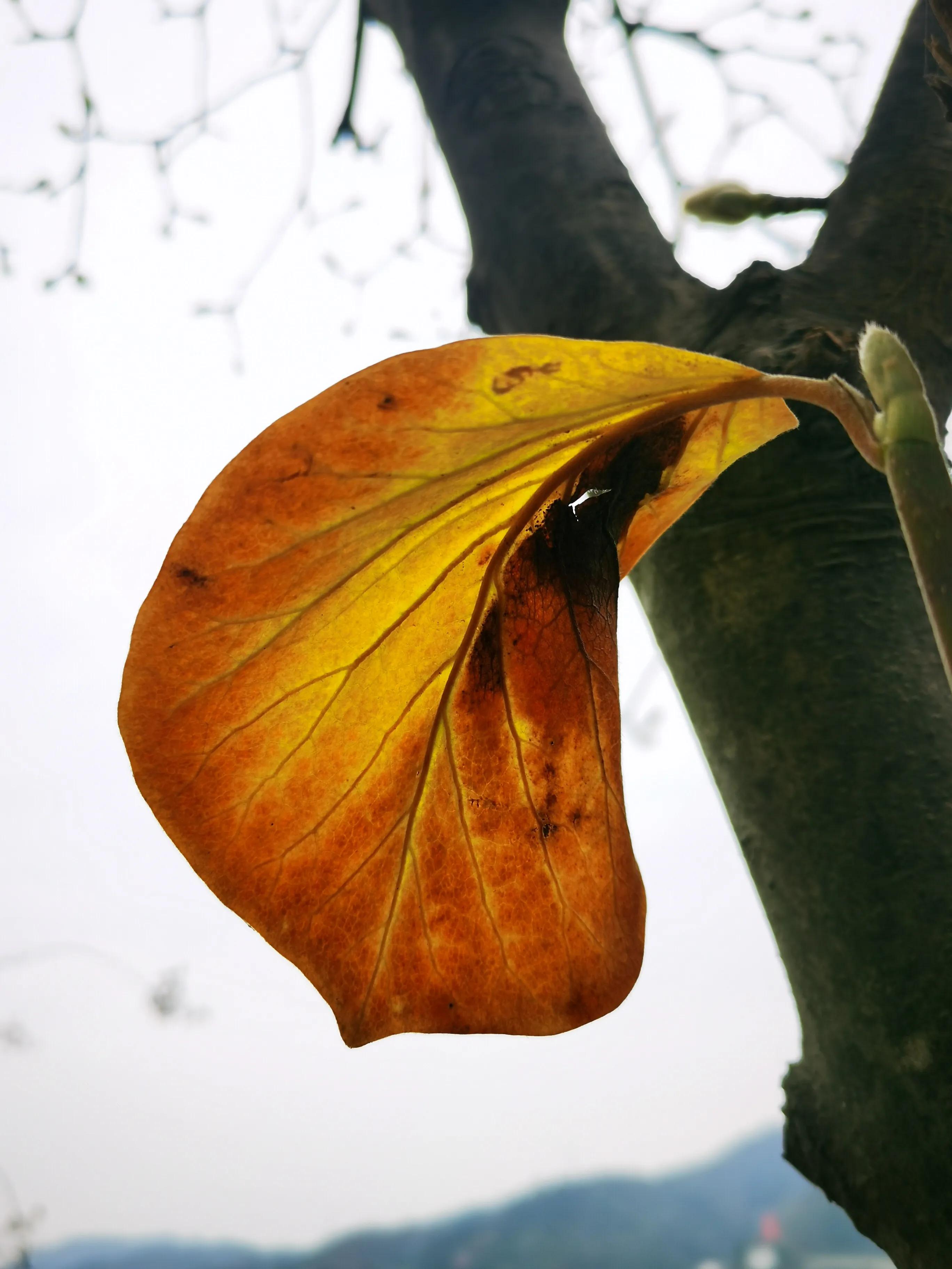 手拍世界作品专集,手拍世界283期