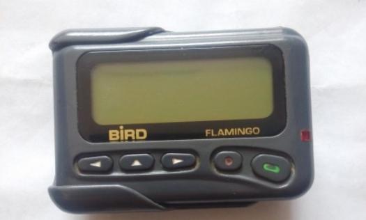 波导手机图片,波导v10手机