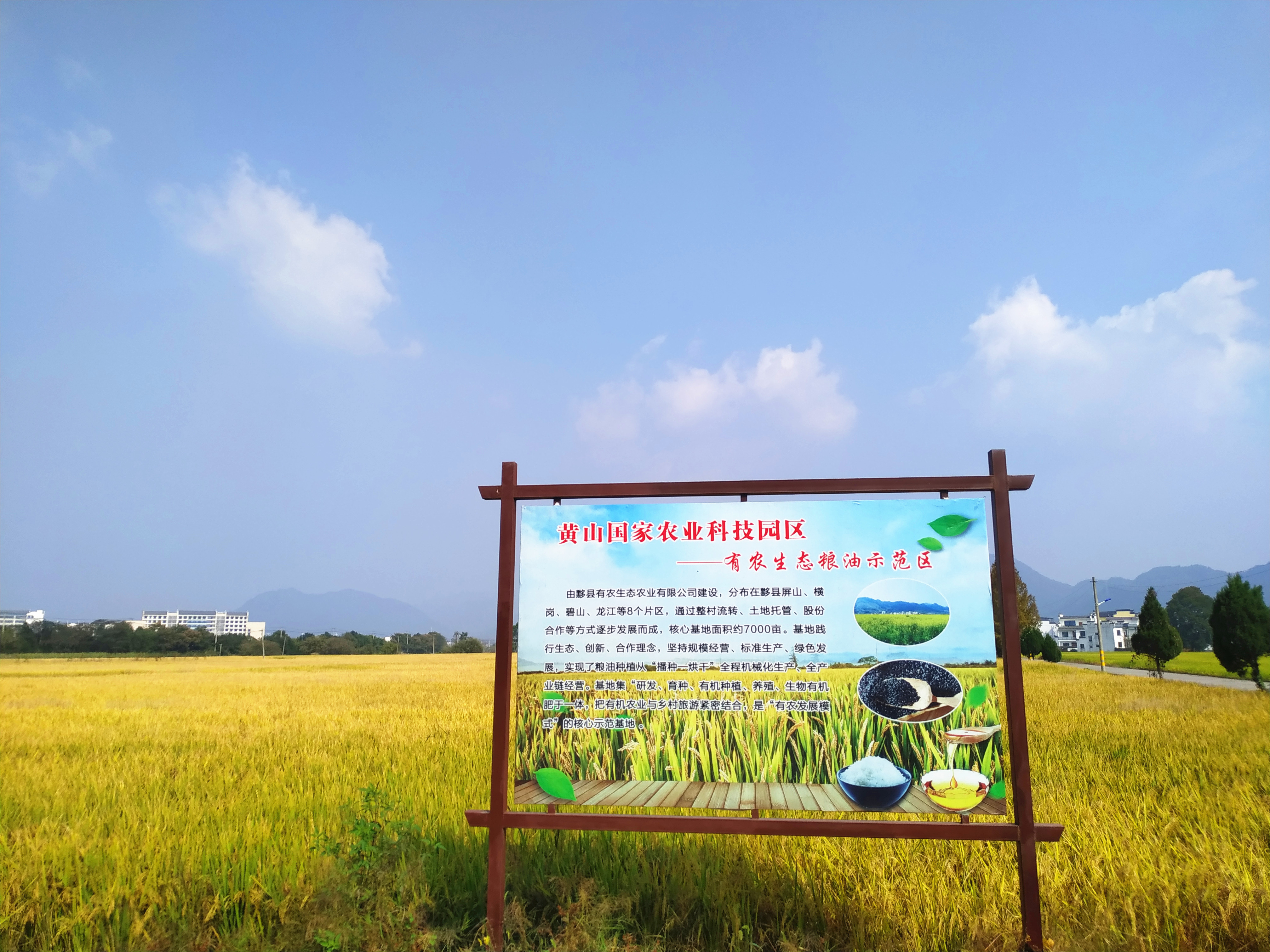 赓续改革开放精气神,赓续老黄牛精神奋斗新时代