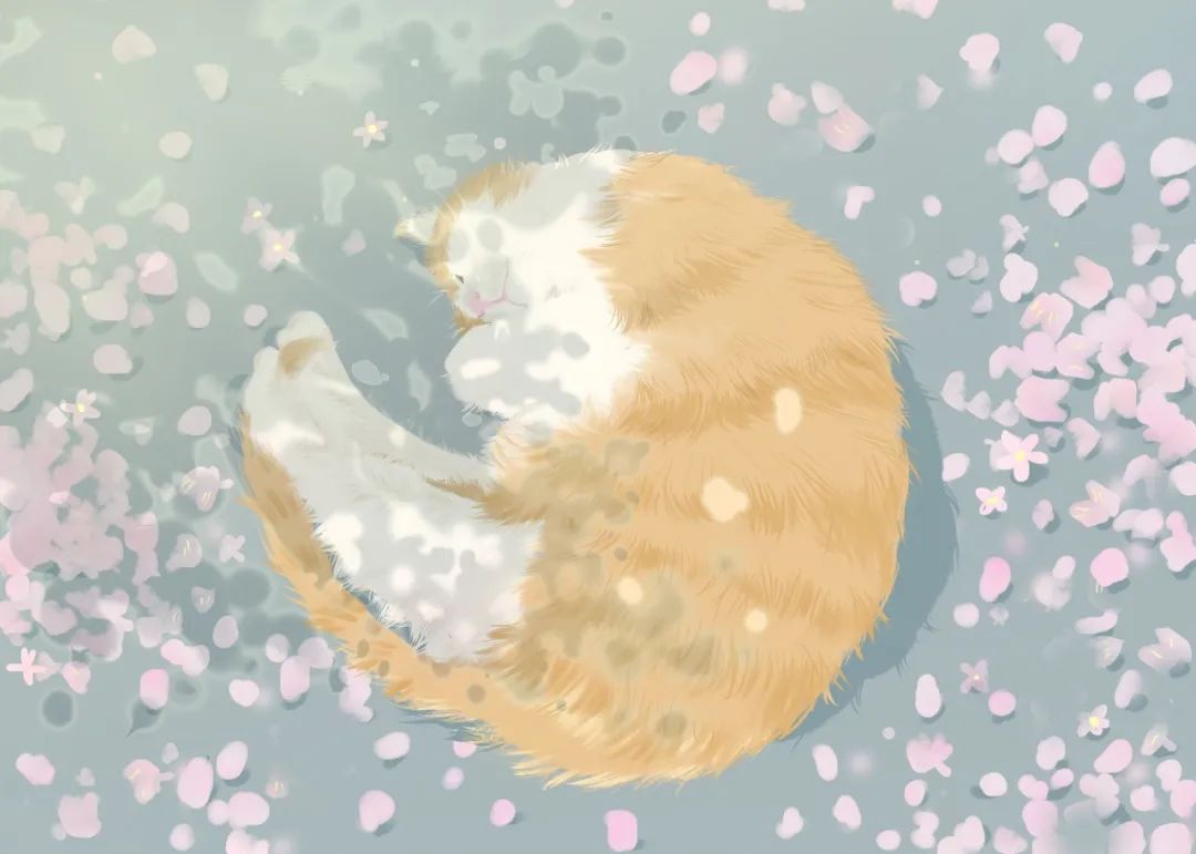 早安诗词励志正能量句子图片,冬天早安诗词简短精辟