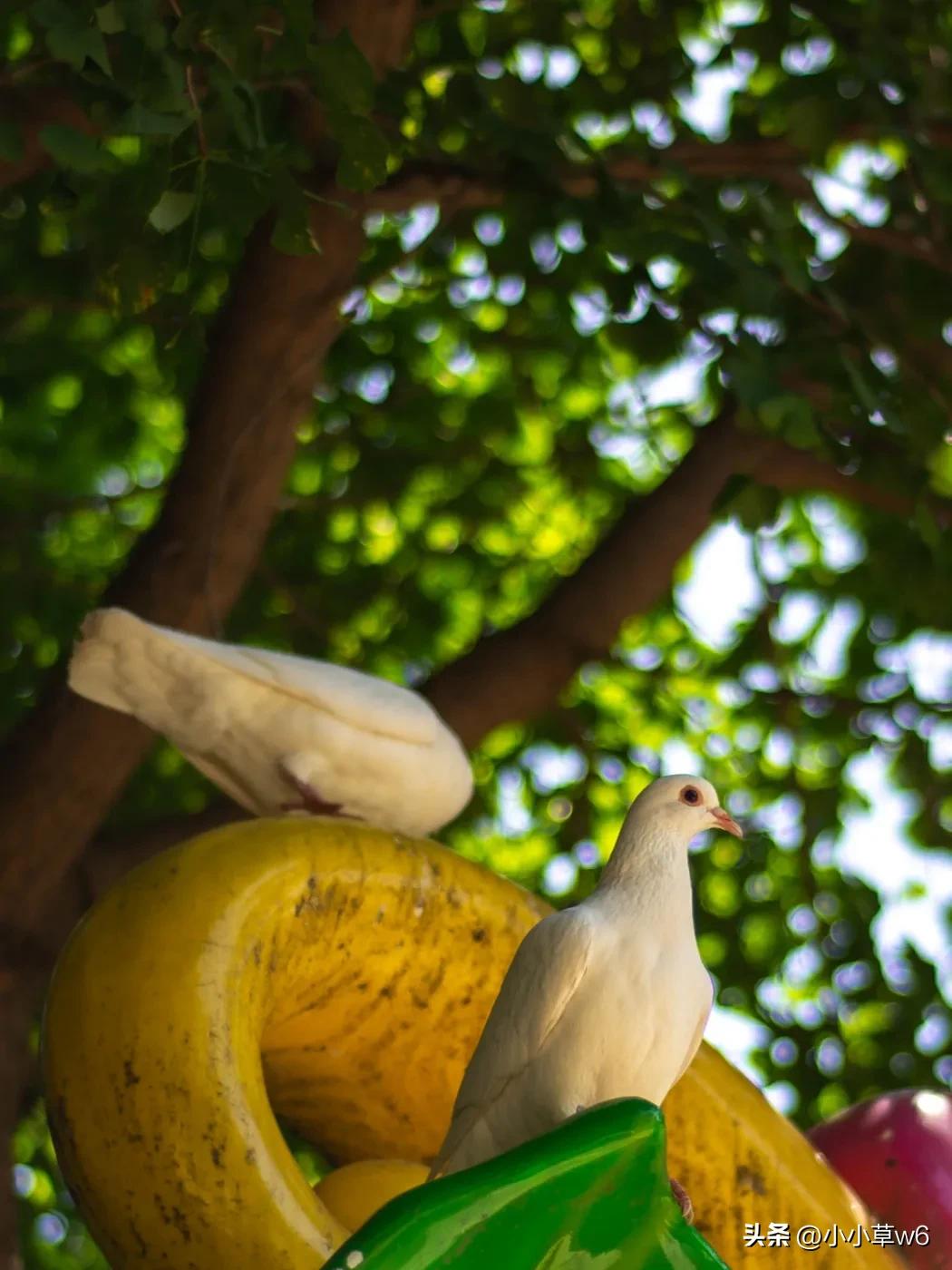 人生不只有高考的路,人生不只有高考的句子