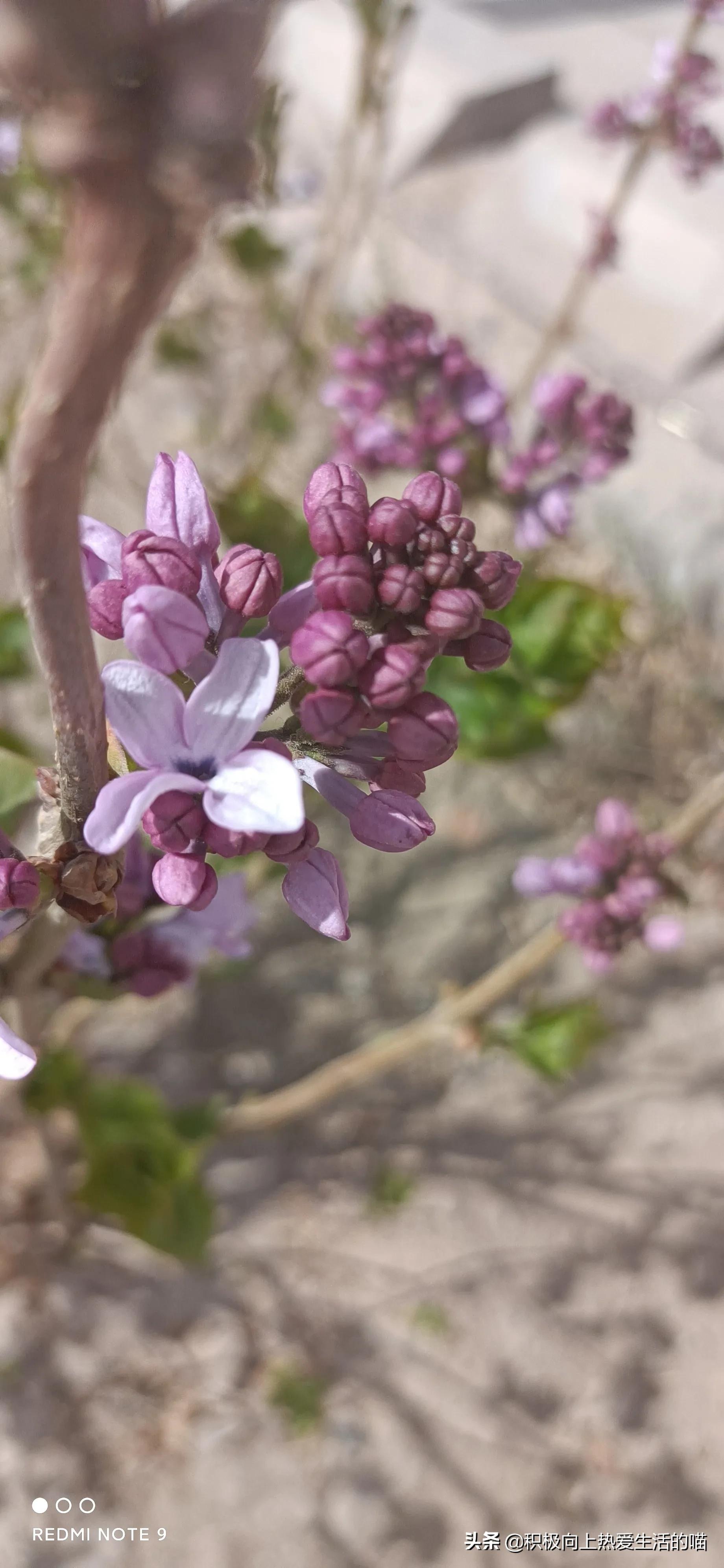 一个送货师傅的工作日常,送货司机一天累吗