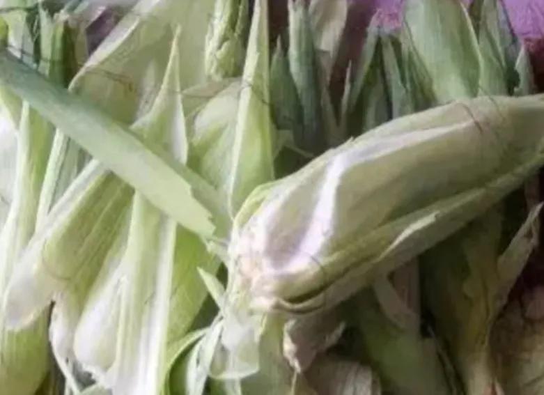 端午节到了包粽子,端午节包粽子的粽叶哪里来