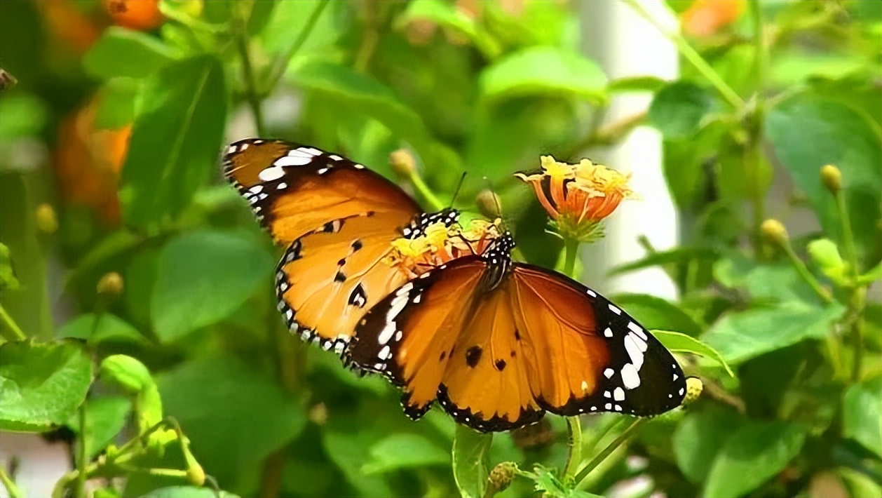 准到心理可怕的小测试,解析十二人格测试