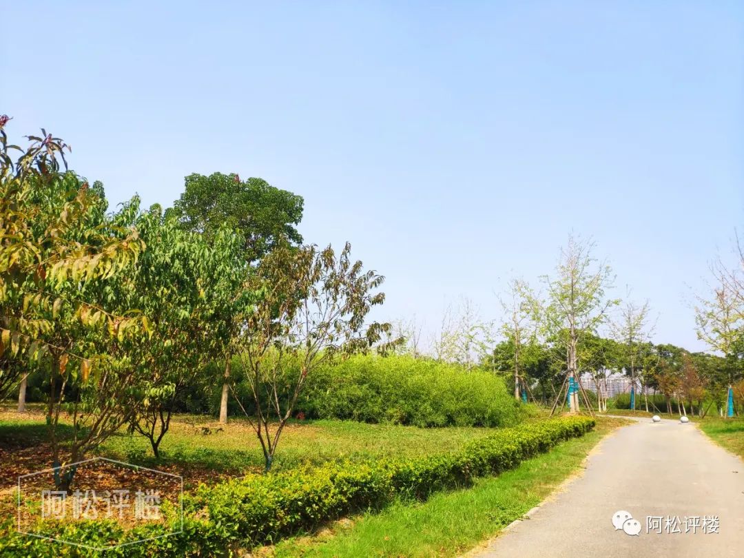 被低估的三四线房价,被严重低估的价值洼地