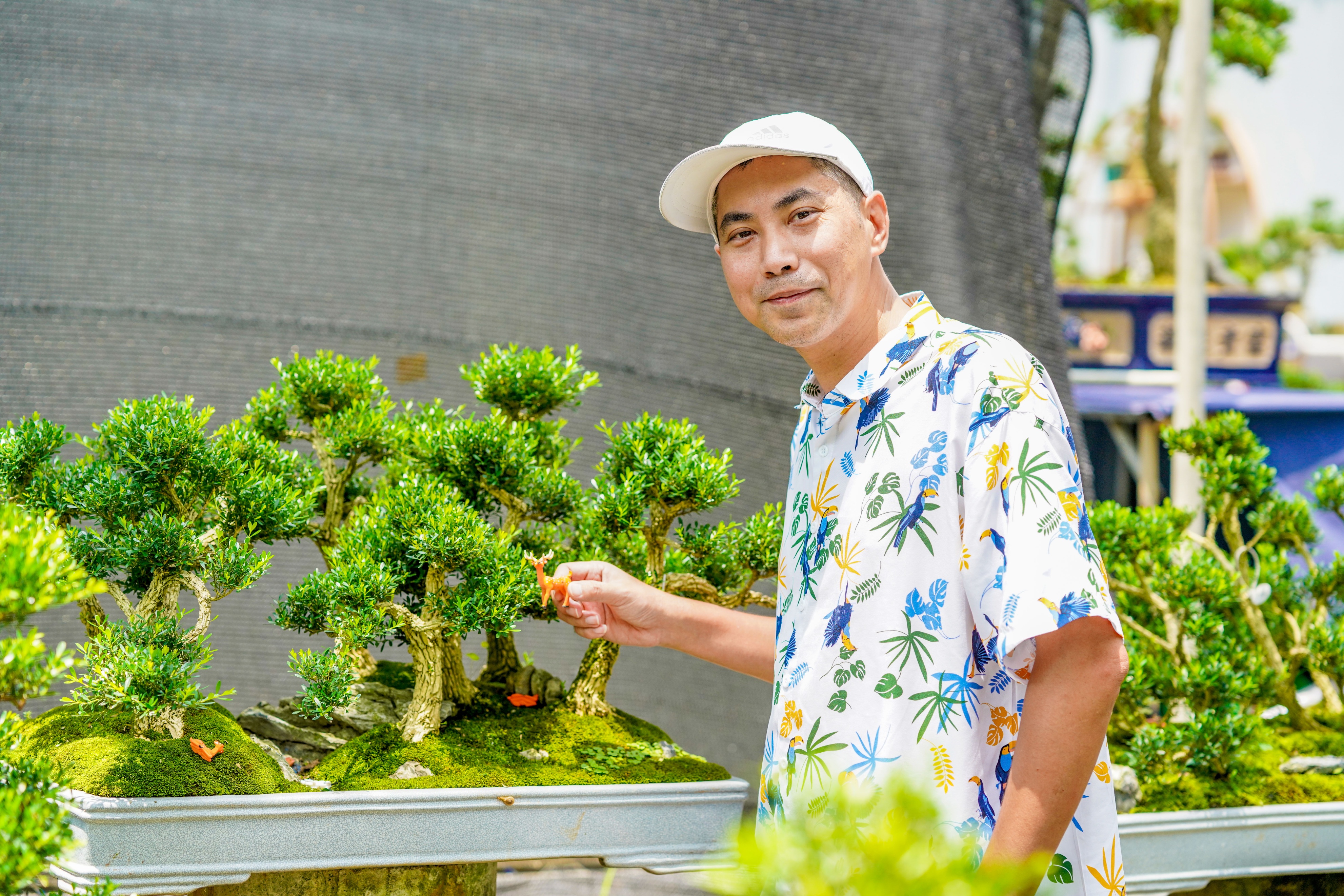 走进花果苗木之乡洪阳镇，探索“万花园”花木致富的产业密码