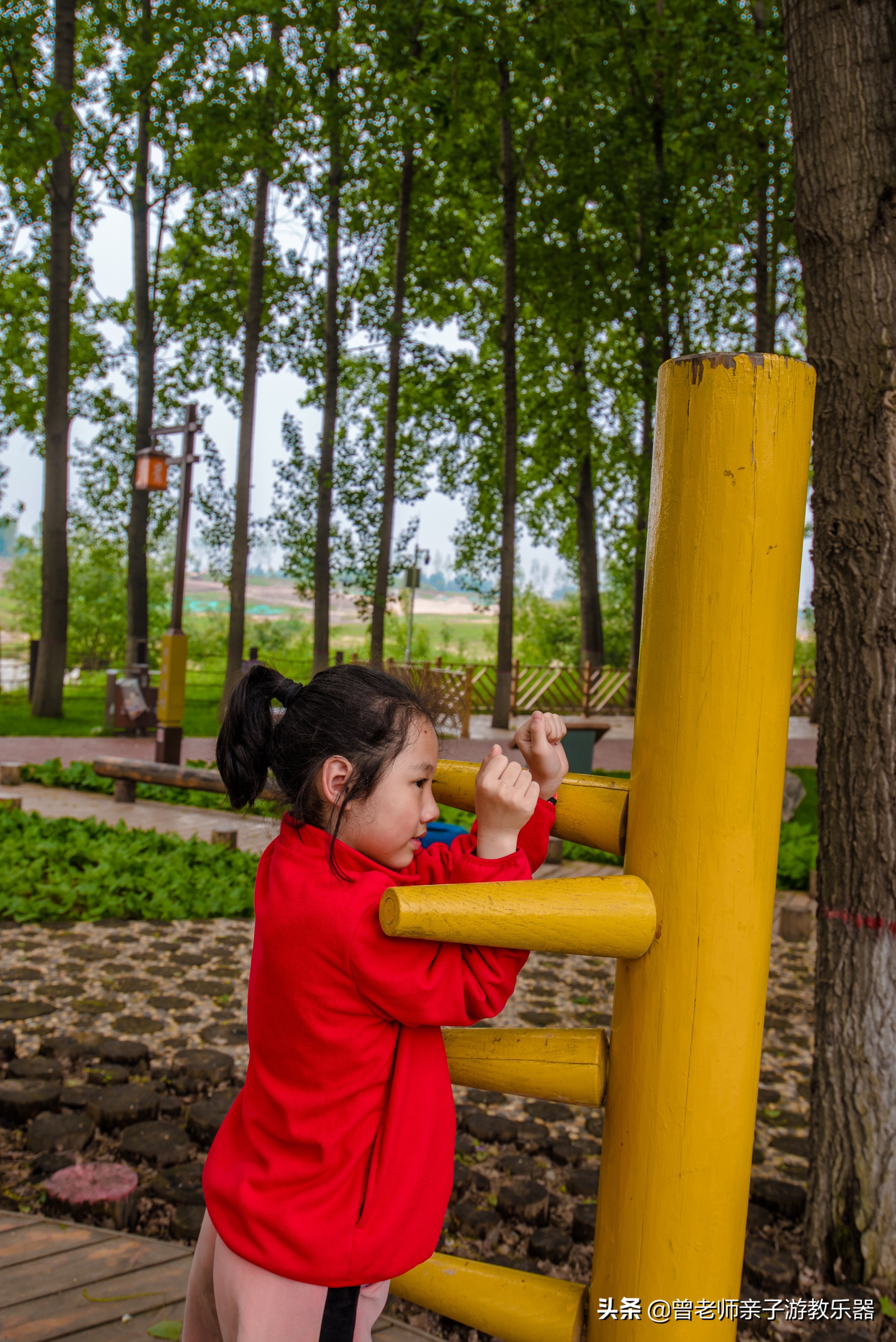 2022西安遛娃一日游的绝佳去处,2022年春节西安遛娃去哪玩最合适