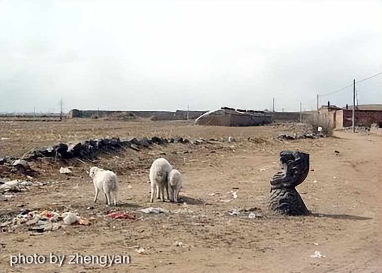 归化城马市上马匹的种类与税收情况