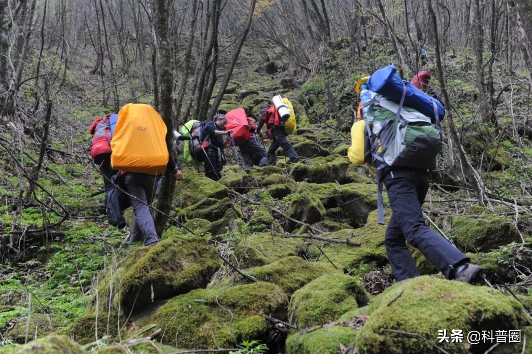 神农架深处为何被列为禁区进不去,神农架深处为何被列为禁区知乎