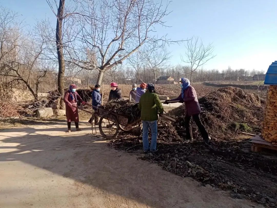 夏店镇人居环境整治推动乡村振兴,宋疃镇人居环境整治扮靓乡村颜值