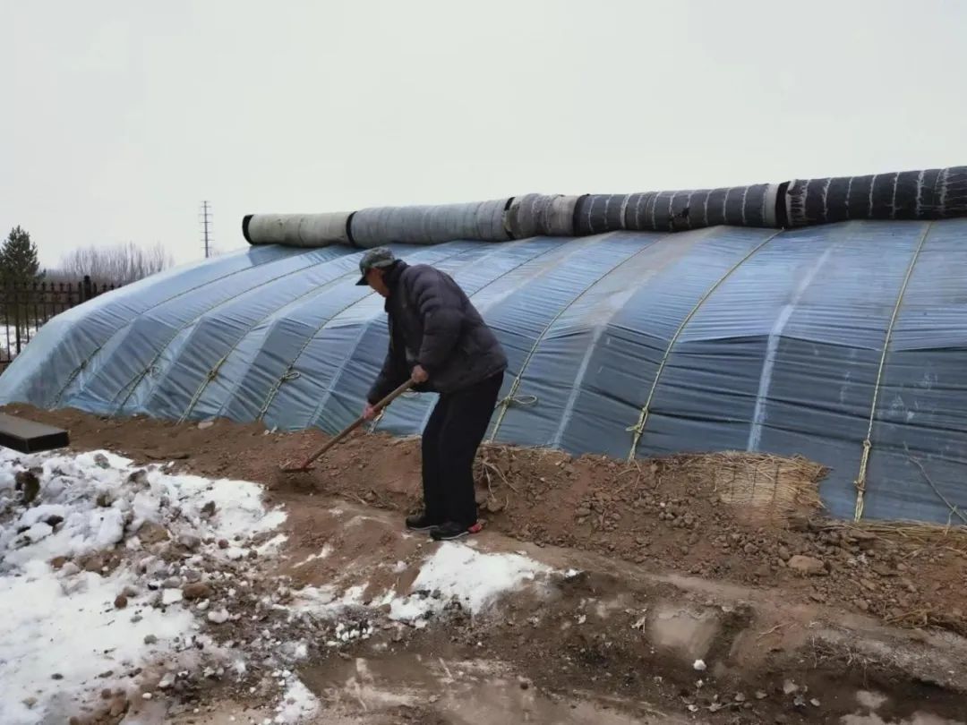 北方冬天，餐桌上的蔬菜水果与这些气象人有关！
