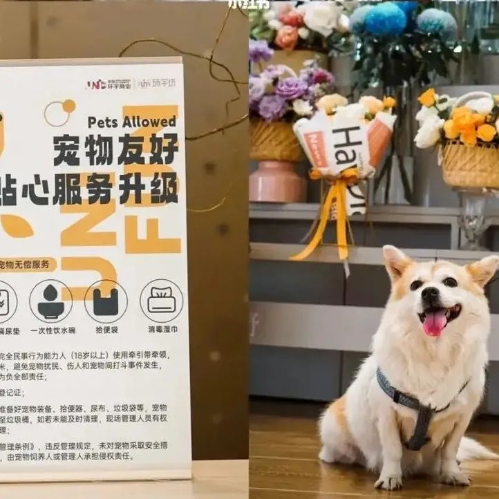 淄博烧烤火了其他城市该如何借鉴,淄博烧烤给淄博带来了多大盈利