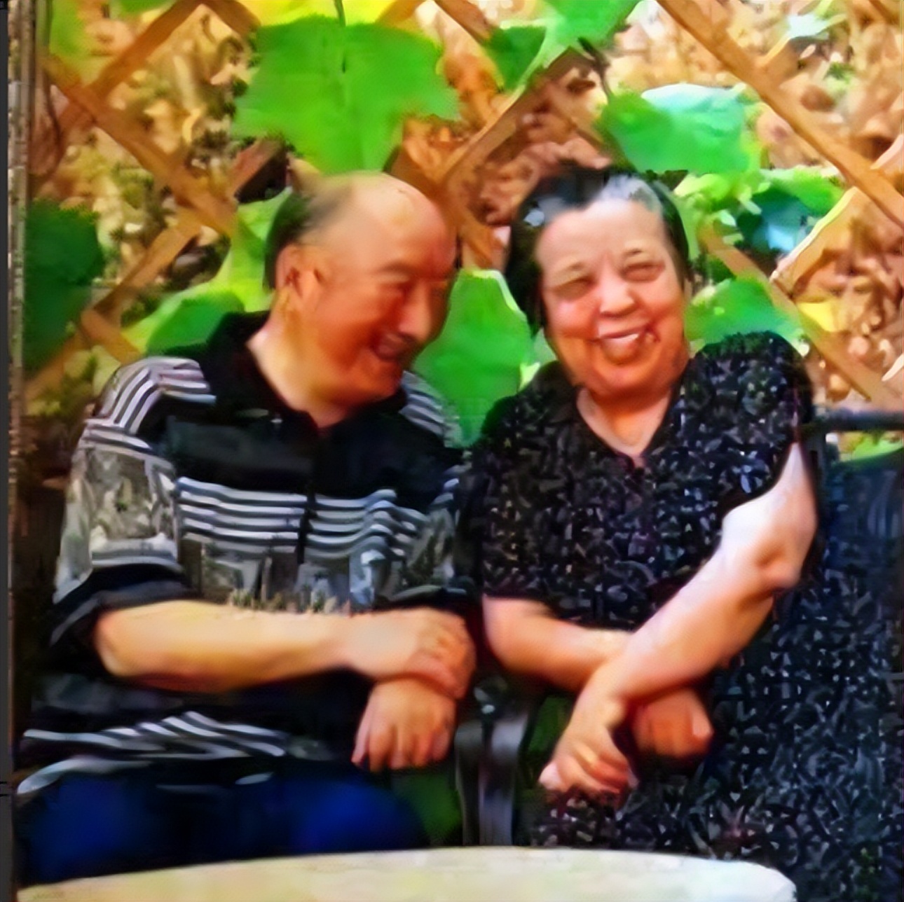 张山女儿张嘉芸和陈佩斯一家关系,张山女儿与陈佩斯