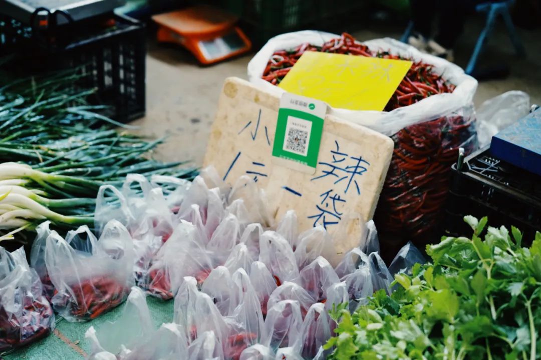 南方小众避寒好去处,今冬避寒好去处推荐