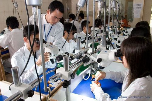 钻石恒久远，一颗永流传——宝石及材料工艺学