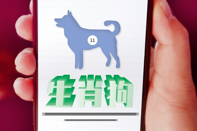 7月11日生肖狗运势怎样,属狗运气不好霉运缠身如何解决