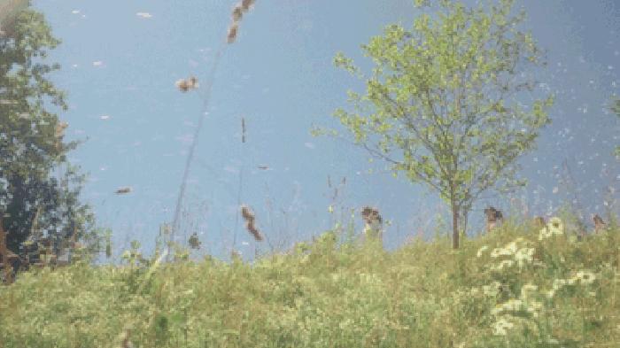 高频词英语启蒙必备练习册,超高频英语