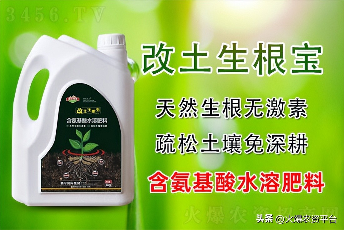 改土促根防病,氨基酸对土壤有改良作用吗