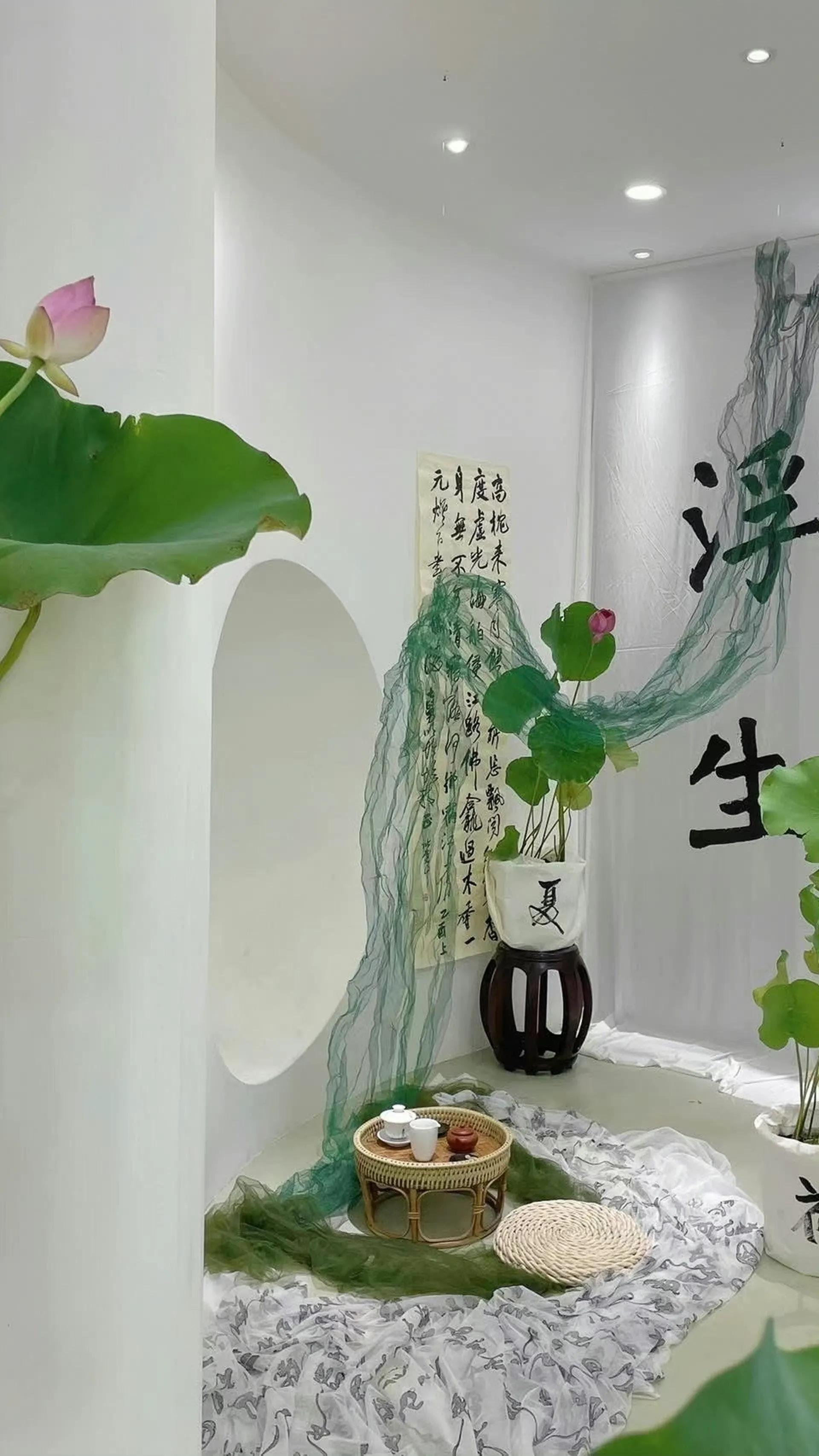 荷花荷叶壁纸图片大全,荷叶手机壁纸高清图片