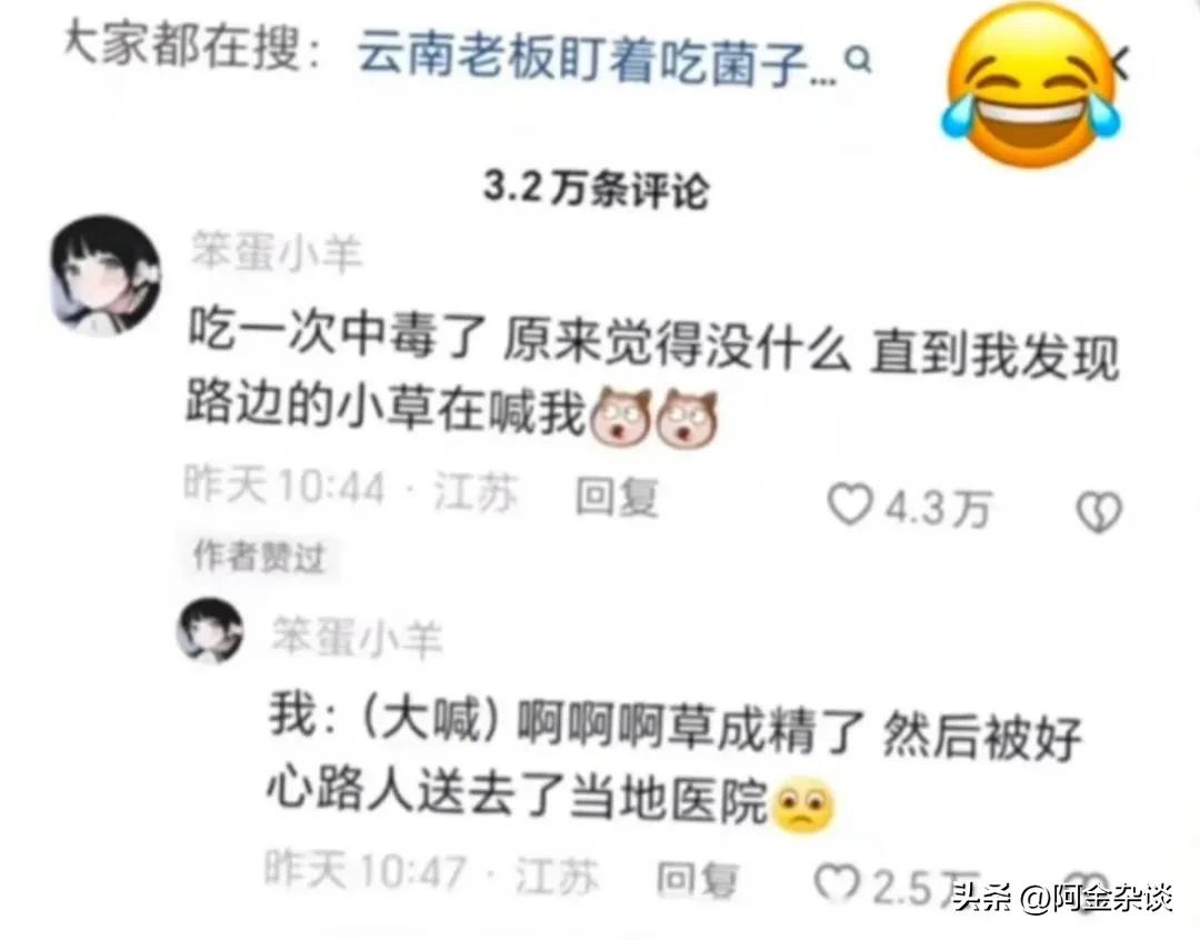 吃菌子中毒最新事件,吃菌子中毒一家子都以为没中毒