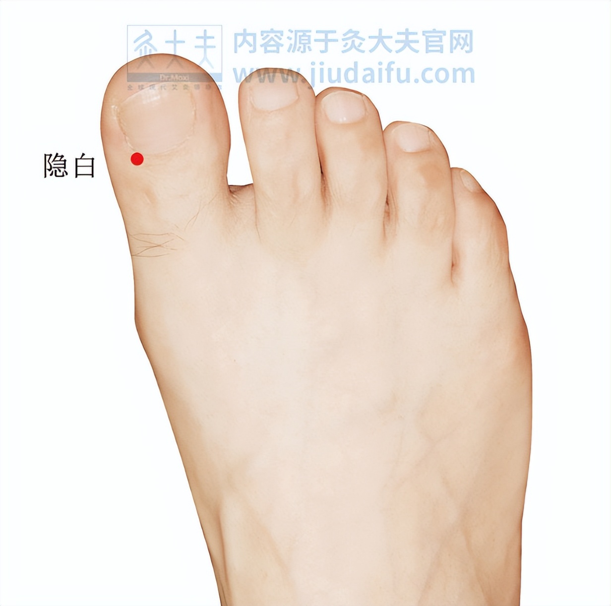 艾灸调理脾胃的配穴,艾灸治疗脾经的穴位