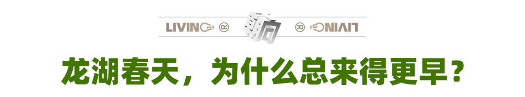 为什么龙湖的房子户型一直在迭代,为什么龙湖最好