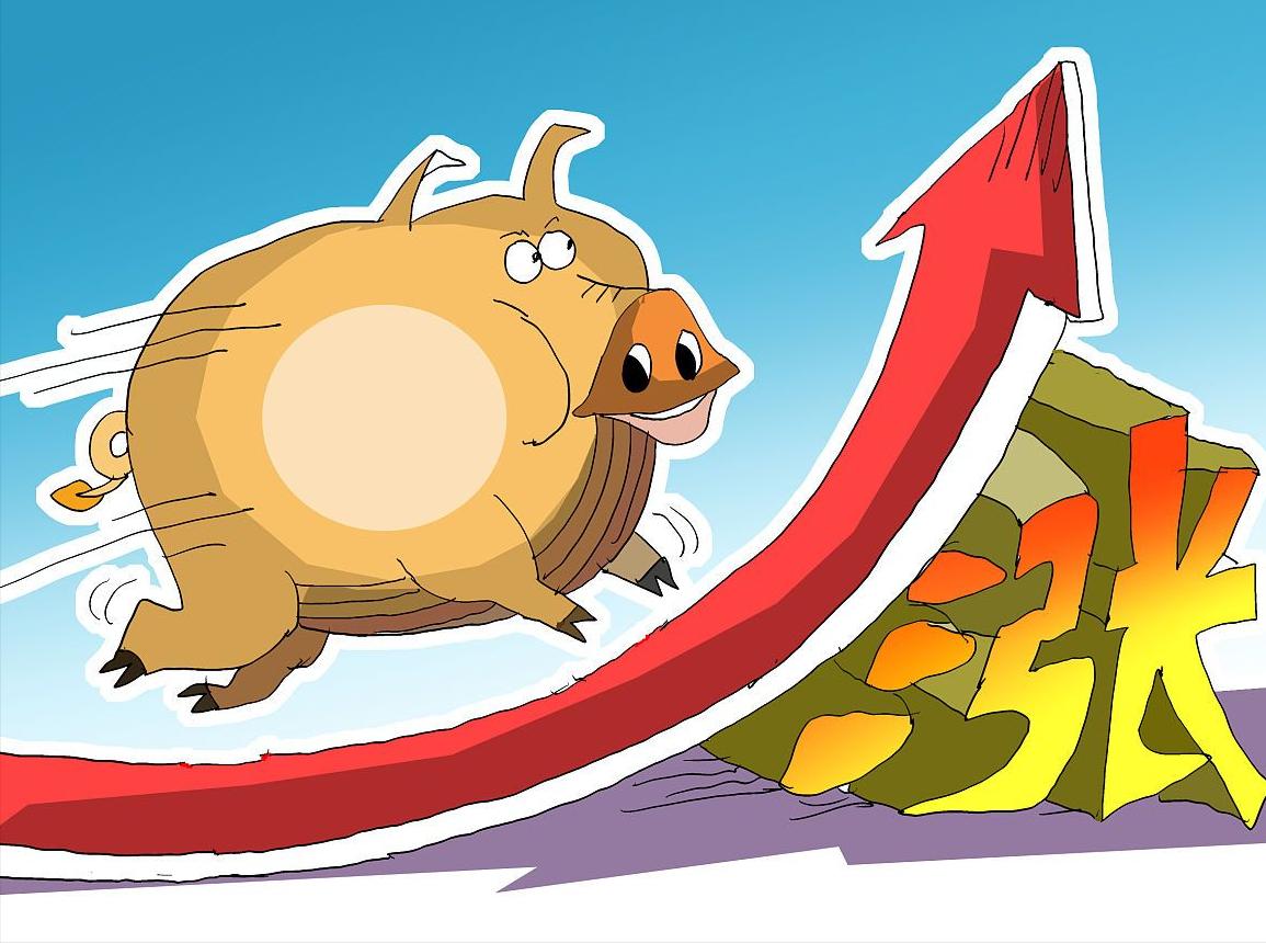 如何分析今日猪价上涨,猪价走势分析预测明日猪价