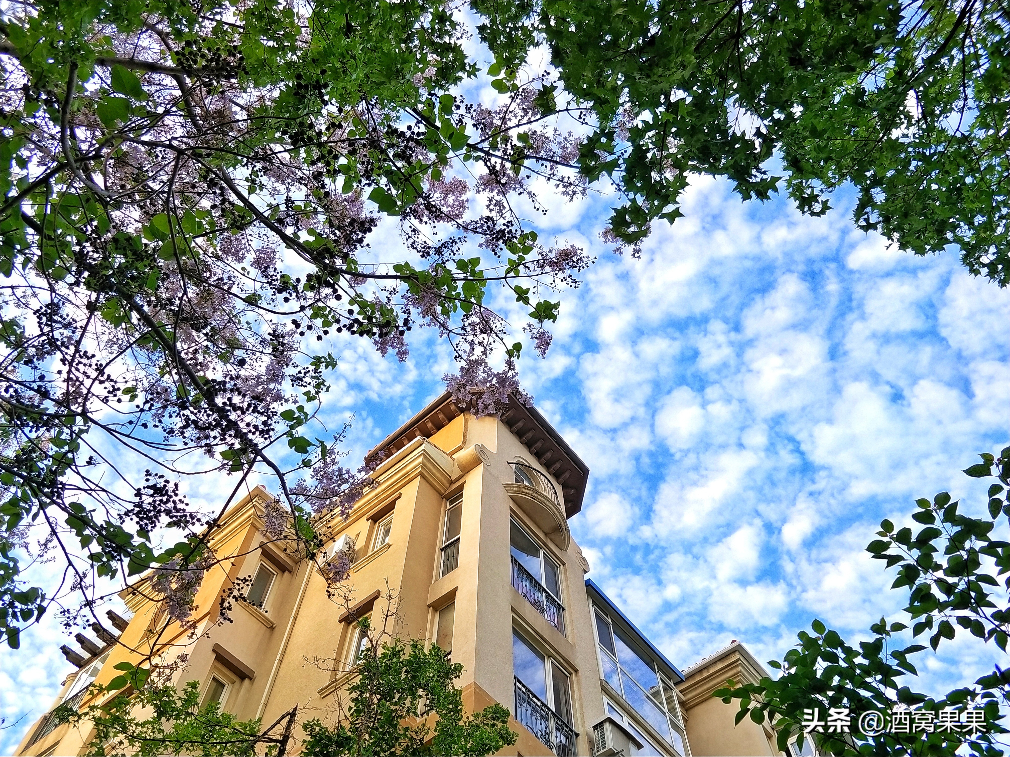 大连大学毕业有多少人留在大连,毕业留大连好吗