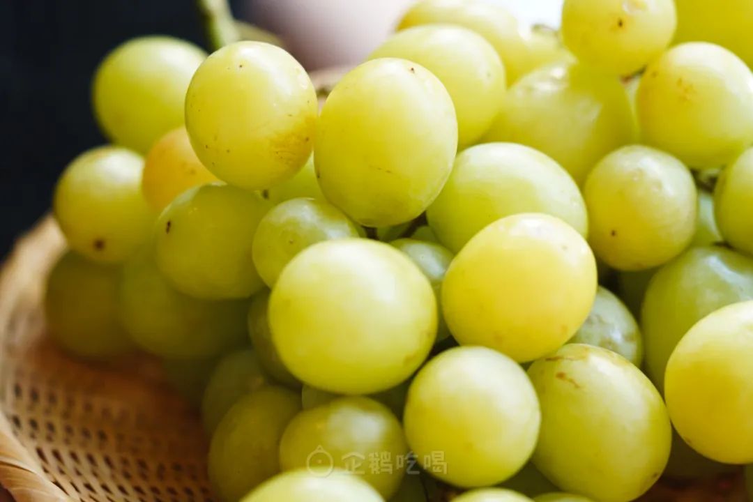 最近新出哪些水果好吃点,十大又贵又不好吃的水果