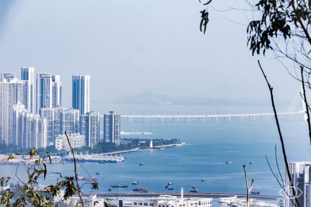 深圳地铁五号线十号线游玩地点,深圳地铁12号线最新最全线路图